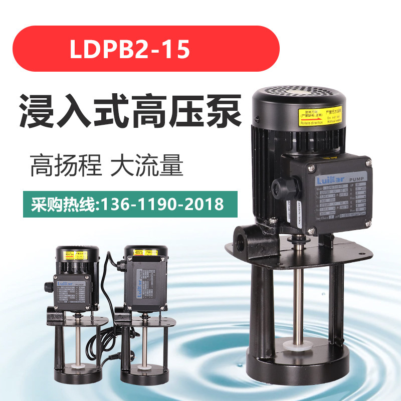 LDPB2-15-TP Lokai Rocoi Rui Garo sharp LuiKar immersive centrifugal cycle wire cutting water pump