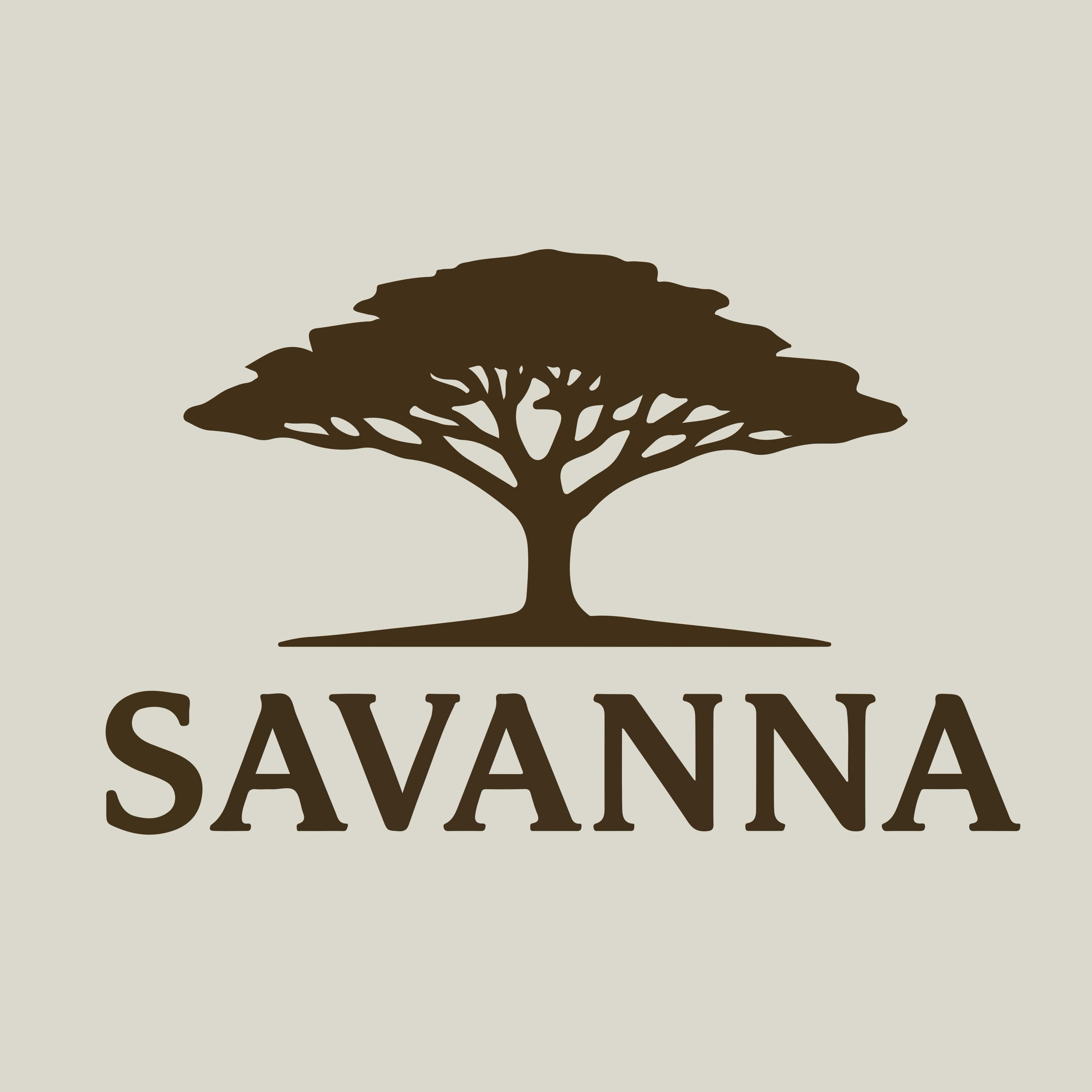 Savanna稀树草原