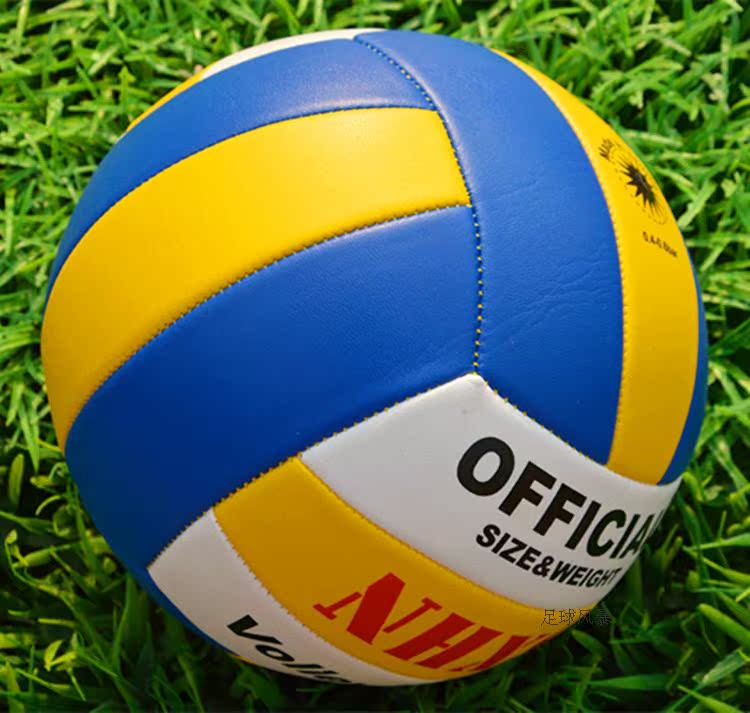 Ballon de volley-ball - Ref 2009260 Image 15