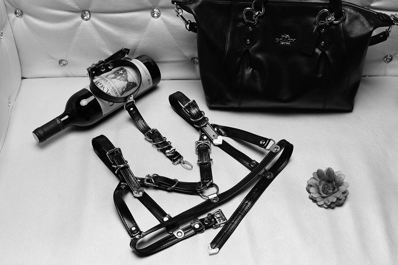 Corset - Ref 672346 Image 15