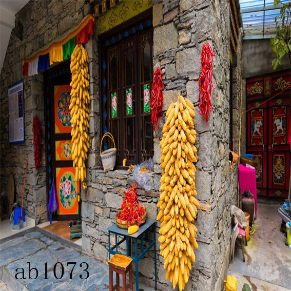 Scenery Exterior View Background Cloth Countryside House Background Wall Straight Podcast Mesh Red Photo Quick Hand Shake Background Cloth Decoration