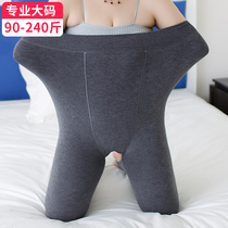 Fat sister extra size leggings women wear 200kg winter plus velvet thickened Do Not Hook silk do not drop gear one pants