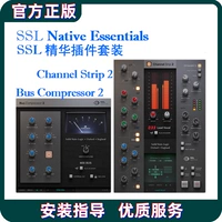 SSL Essentials Bundle SSL Essence Plug -In Set подлинный канал Strink