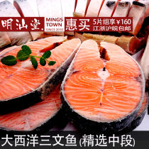 Salmon steak Mid-section Whole sliced Atlantic Salmon Salmon steak Whole fresh frozen 170g