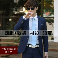 Один прялее жизнеспособность синего цвета для отправки рубашек