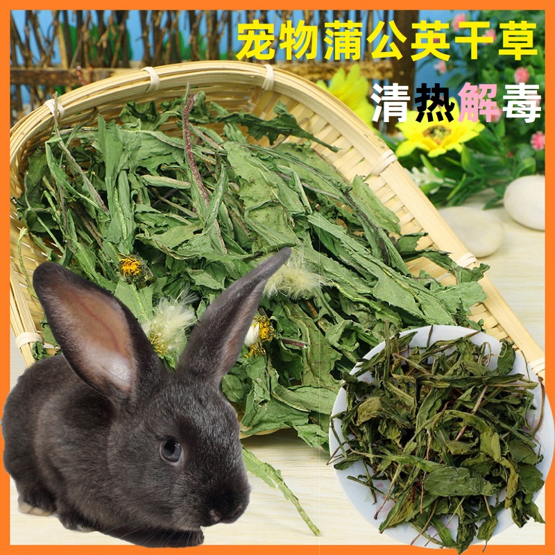 Pet Rabbit Chinchilla Guinea Pig Summer Cooling and Detoxification Snack Dandelion Hay Clearing Heat and Relieving Heat