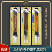 Marley Chinese painting brush set beginner large and medium small number Baiyun painting and calligraphy wolf sheep and sheep hook line Pen small letter