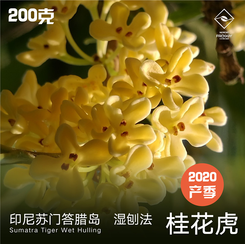 Frogs Coffee cooked beans Indonesia Sumatran mantenin osmanthus osmanthus osmanthus Flavour Flour 200g