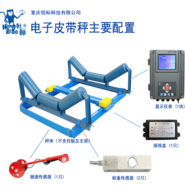 Conveyor Scale/Belt Scale/Digital Scale/Belt Scale/Conveyor Scale/For Use in Mines/Ports