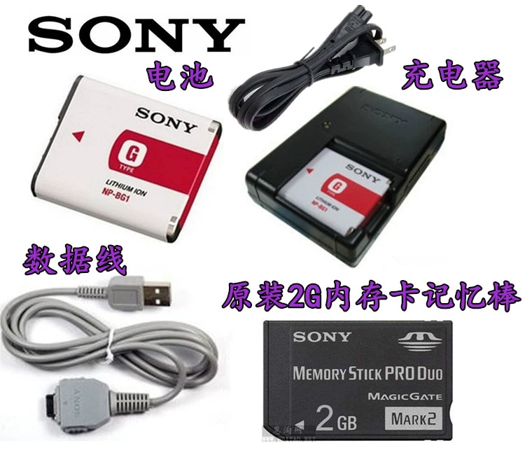 Pin máy ảnh thẻ Sony DSC-W300 T100 W80 W90 T20 WX1 + bộ sạc NP-BG1 - Khác