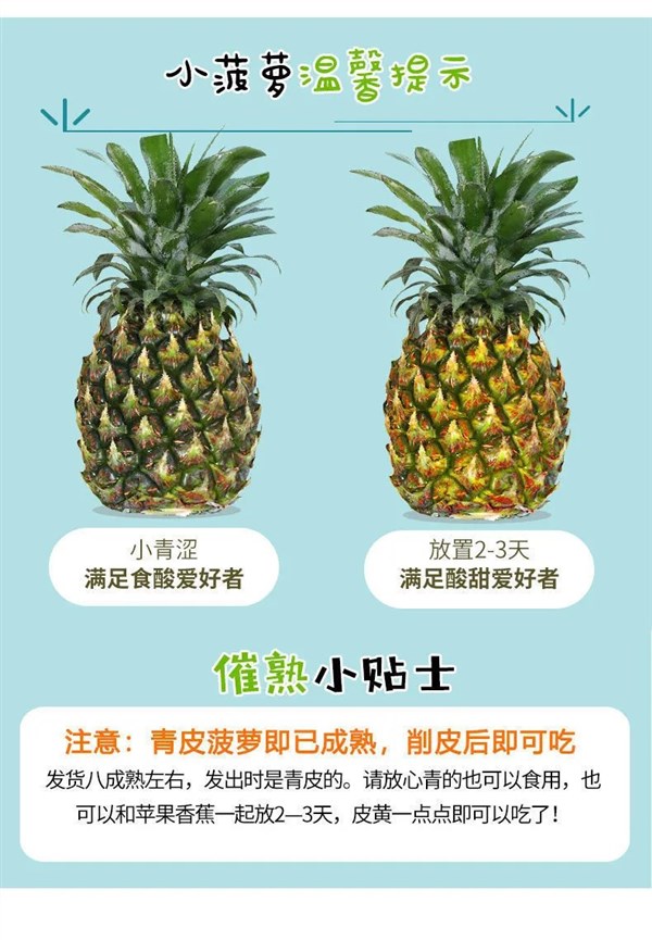 云南香水菠萝新鲜水果凤梨手撕小波萝现摘