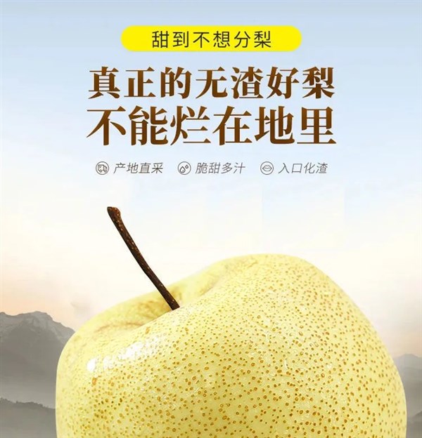 安徽砀山酥梨新鲜水果现摘梨子百年梨树雪梨