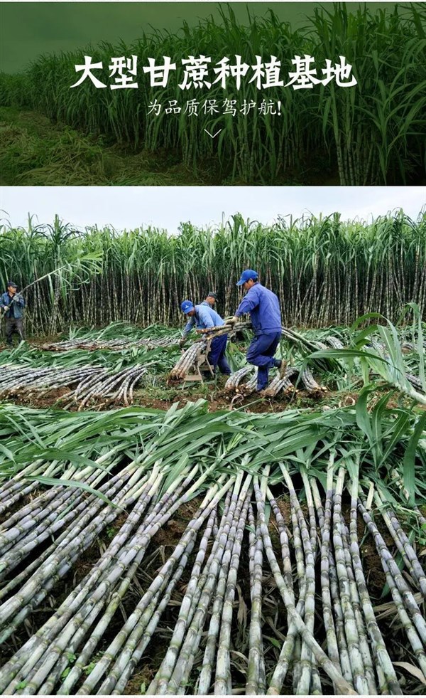 甘蔗新鲜现砍绿皮中段应季孕妇清甜多汁