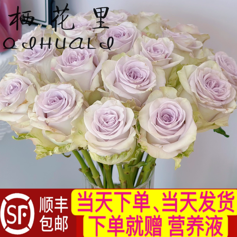 Same-Day Sf Express Delivery: 10 Purple Heart of the Ocean Single-Headed Roses for Home Decor, Free Shipping Via Sf Express