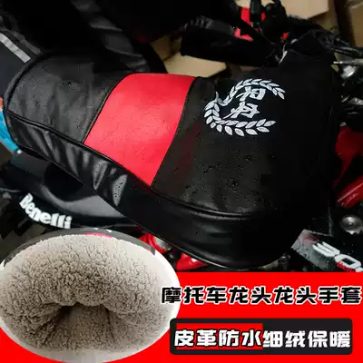 Locomotive handle warm winter electric car windshield gloves windproof warm handle thickened waterproof electric car handle handle cover