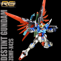  Thousand Hands Bandai metal coloring RG11 1:144 Destiny Gundam Gundam assembly model New Year gift