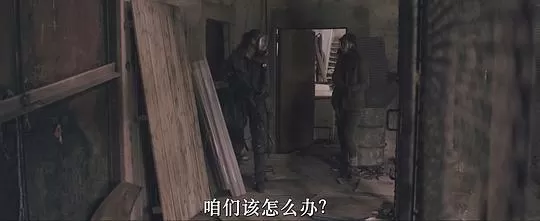 柯拉2023剧照1