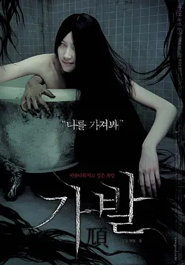 假发 ??（2005） 海报