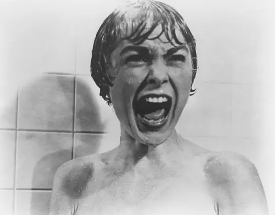 惊魂记 Psycho1960剧照1