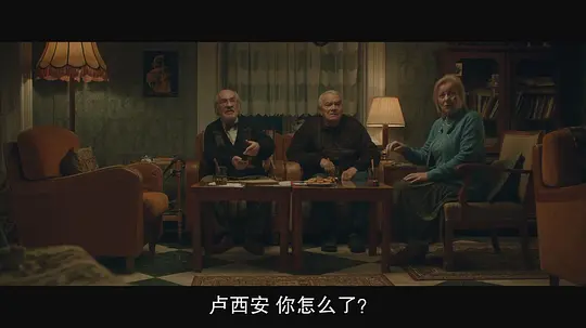 寂静之夜 Cisza nocna2024剧照1