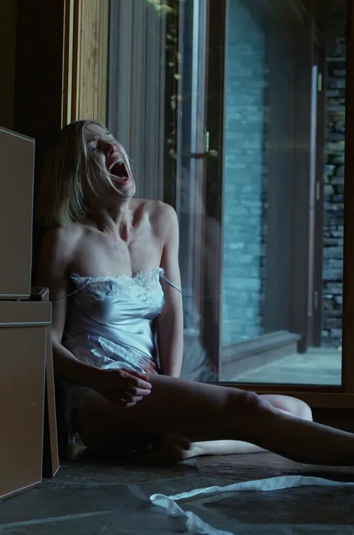 消失的爱人 Gone Girl2014剧照3