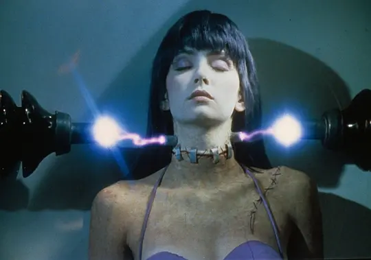 科学怪妓 Frankenhooker1990剧照3