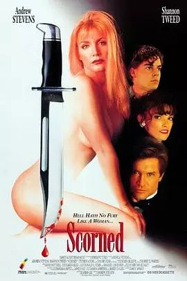 辣身危情 Scorned（1994） 海报