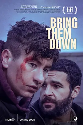 打倒他们 Bring Them Down（2024） 海报