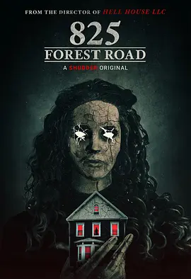 林荫路825号 825 Forest Road（2025） 海报