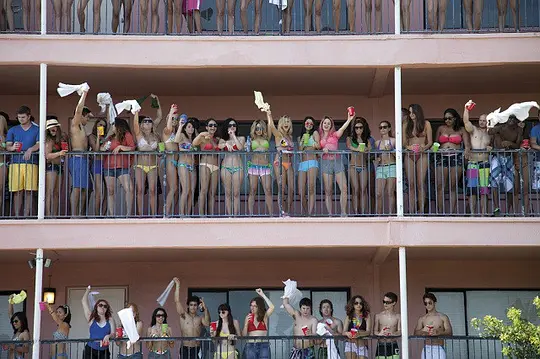 比基尼春假 Bikini Spring Break2012剧照1
