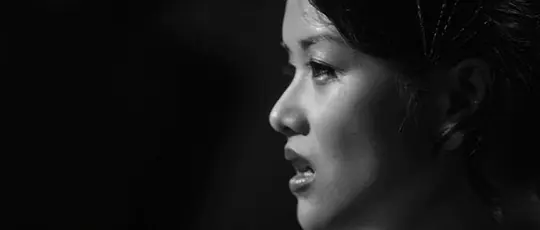 性爱告白 Black  White  Sex2012剧照1