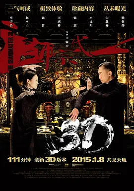 一代宗师 一代宗師（2013） 海报