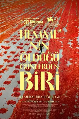 该死的赫梅 Hemme’nin ?ldü?ü Günlerden Biri（2024） 海报