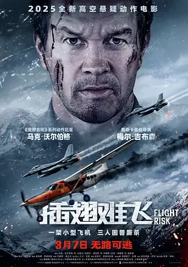 插翅难飞 Flight Risk（2025） 海报