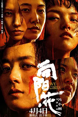 向阳·花（2025） 海报