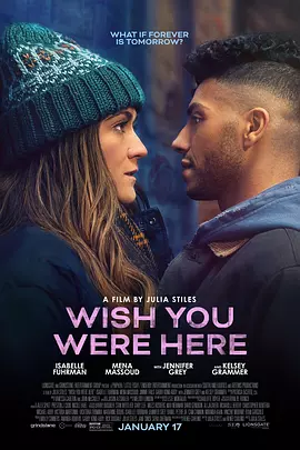愿你在此 Wish You Were Here（2025） 海报