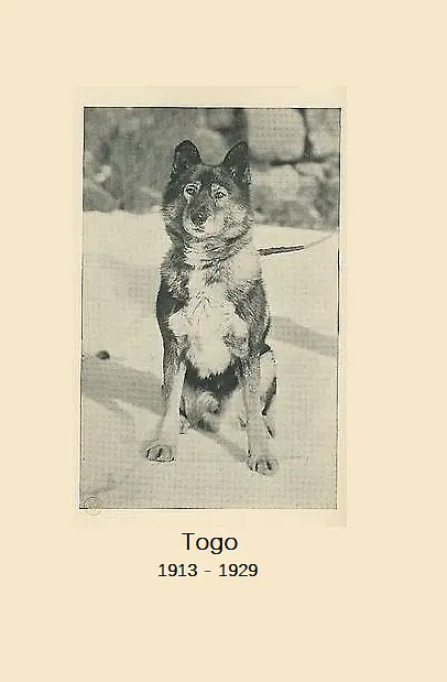 多哥 Togo2019剧照1