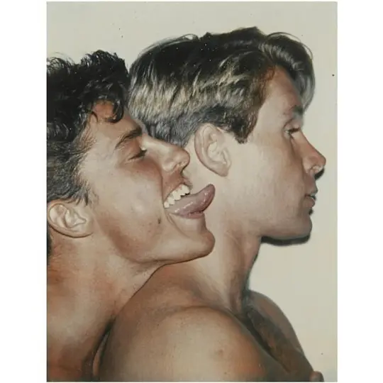 雾港水手 Querelle1982剧照1