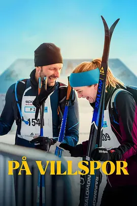 人生滑下坡 P? villspor（2025） 海报