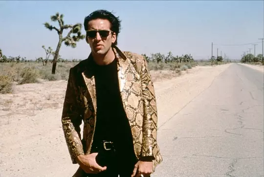 我心狂野 Wild at Heart1990剧照1