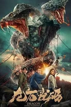 龙石密码（2024） 海报
