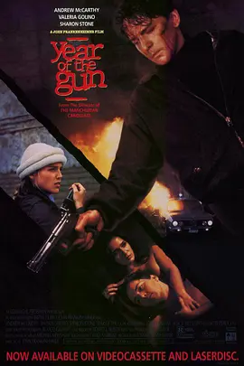 枪支年代 Year of the Gun（1991） 海报