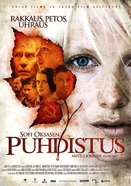 清洗 Puhdistus（2012） 海报