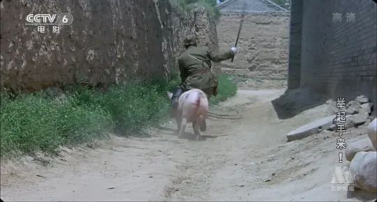 举起手来!2005剧照3