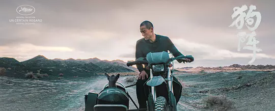 狗阵2024剧照3