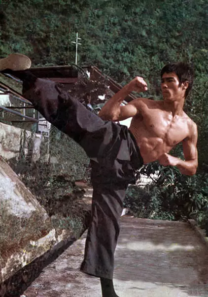 猛龙过江 猛龍過江1972剧照2
