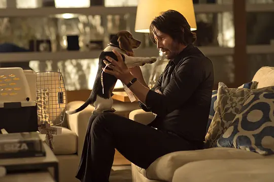 疾速追杀 John Wick2014剧照3