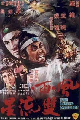 风雨双流星 風雨雙流星（1976） 海报