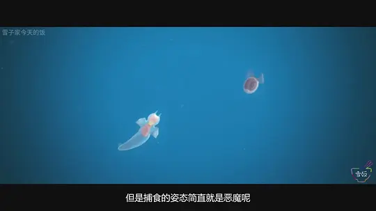 匹配 マッチング2024剧照3