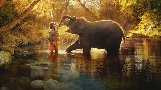 小象守护者 The Elephant Whisperers2022剧照2